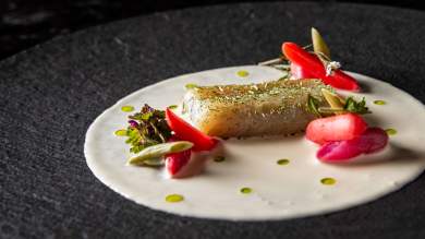 assiette dressées, restaurant gastronomique la table du haut jardin dans les vosges