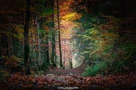 autonme vosges Séjour bien être Vosges en famille Domaine du Haut Jardin 4 étoiles