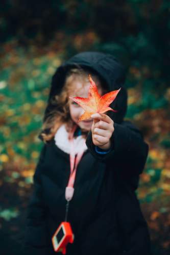 L'automne et son grand retour au Domaine du haut Jardin