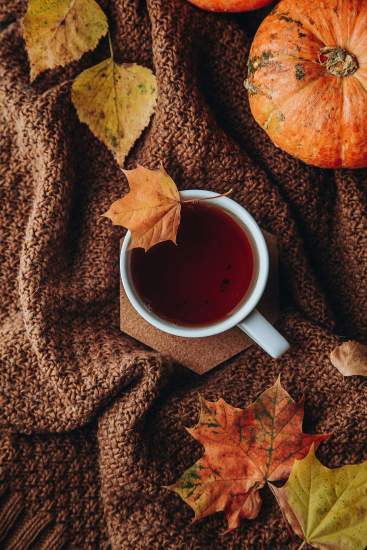 Une petite infusion pour vous réchauffer ?